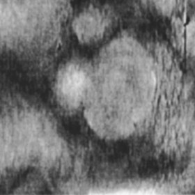 AFM Scan