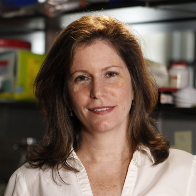 Dr. Sheila Nirenberg was awarded a MacArthur Fellowship for her work on how the brain encodes visual information.